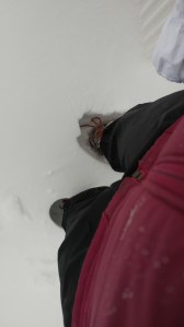 Snow up to the knees